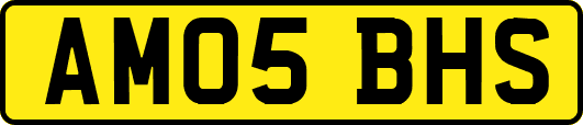 AM05BHS