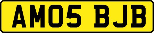 AM05BJB