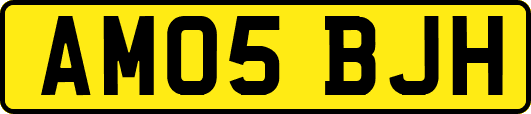 AM05BJH