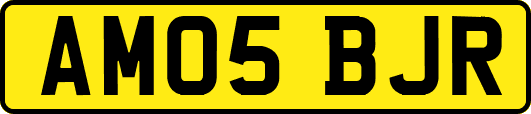 AM05BJR