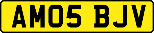 AM05BJV