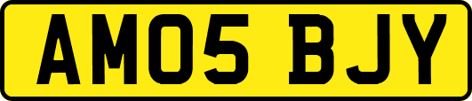 AM05BJY