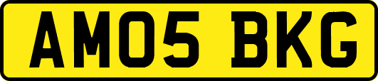 AM05BKG