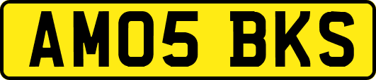 AM05BKS
