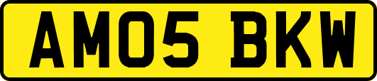 AM05BKW