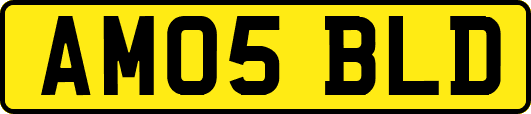 AM05BLD