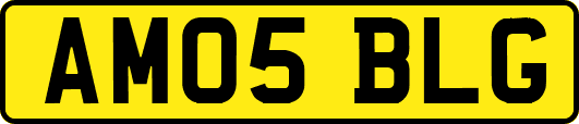 AM05BLG