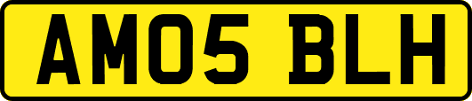 AM05BLH