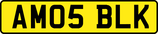 AM05BLK