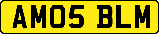 AM05BLM