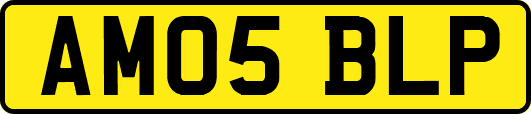 AM05BLP