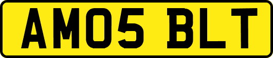AM05BLT