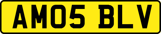 AM05BLV