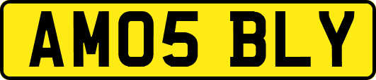 AM05BLY