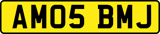 AM05BMJ