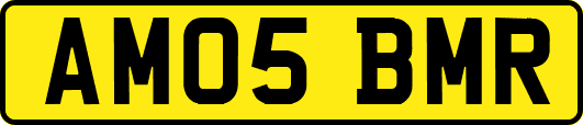 AM05BMR