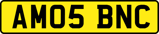 AM05BNC