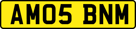 AM05BNM