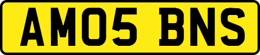 AM05BNS