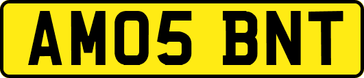 AM05BNT