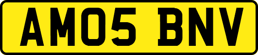 AM05BNV