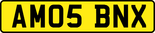 AM05BNX