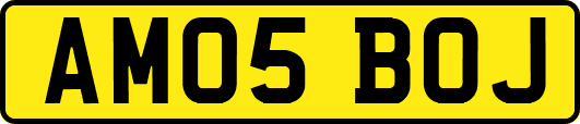 AM05BOJ