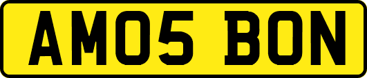 AM05BON