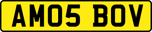 AM05BOV