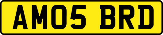 AM05BRD