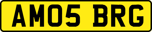 AM05BRG