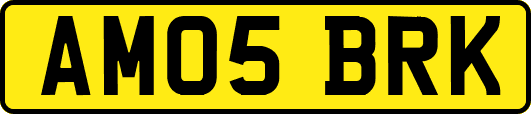 AM05BRK