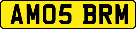AM05BRM