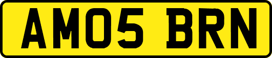 AM05BRN