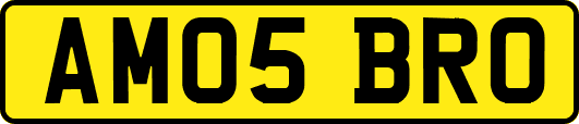 AM05BRO
