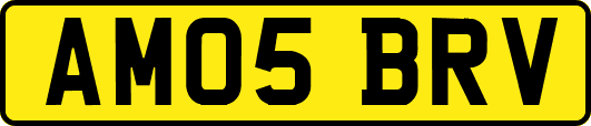 AM05BRV