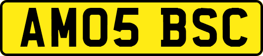 AM05BSC