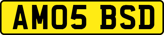 AM05BSD