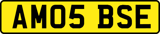 AM05BSE