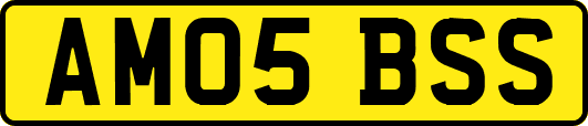 AM05BSS