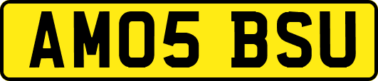 AM05BSU