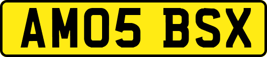 AM05BSX