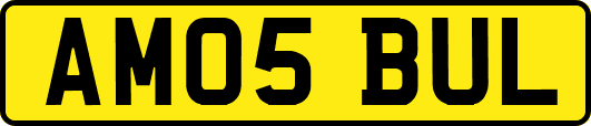 AM05BUL