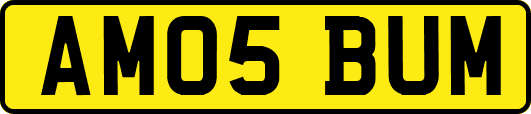 AM05BUM