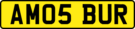 AM05BUR