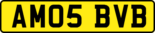 AM05BVB