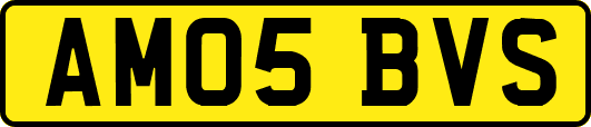 AM05BVS