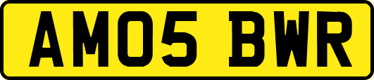AM05BWR