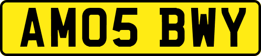 AM05BWY