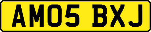 AM05BXJ